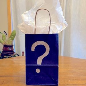 Mystery Beanie Baby!